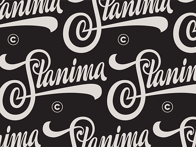 Stanima Hand Lettering V2 hand lettering logo script stanima vintage lettering