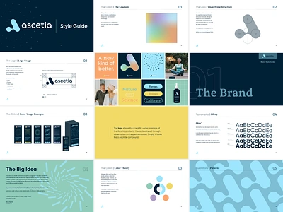 Ascetia ascetia branding color theory exercise health and wellness identity logos style guide supplement