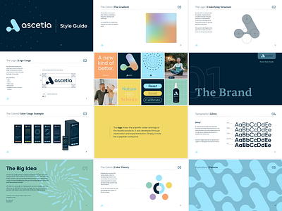 Ascetia ascetia branding color theory exercise health and wellness identity logos style guide supplement
