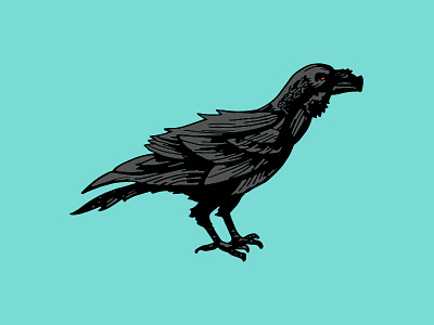 Raven bird edgar allen poe nevermore raven