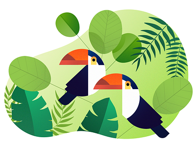 Toucan Birds bird birds design graphic illustraion illustration art toucans