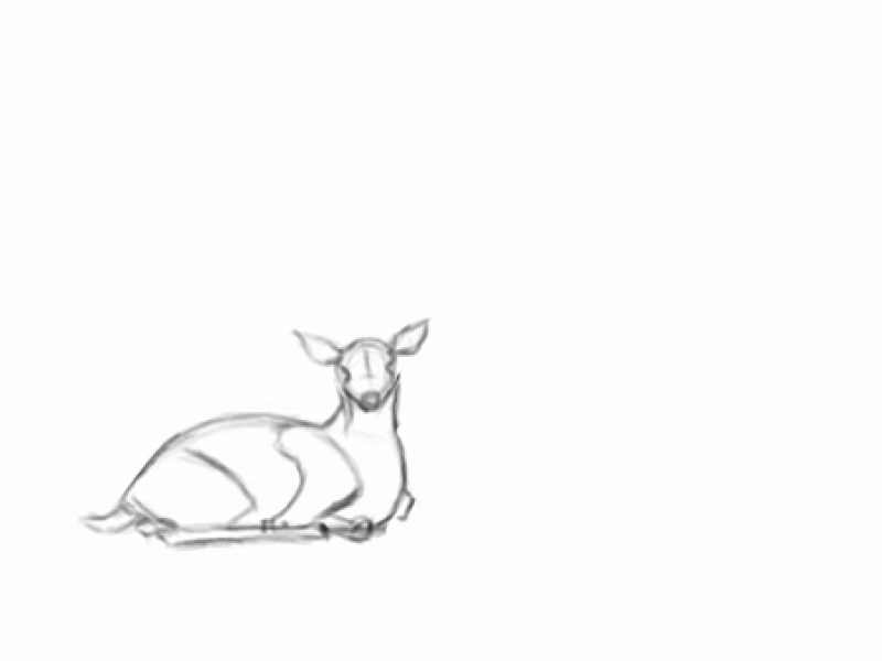 Deer 2danimation animatin deer kuriaowiti