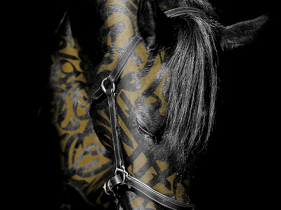 Wild one black black horse calligraphy gold horse