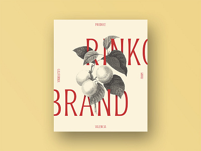 Rinko Display Typeface 1900s brand engravers font fruit glyphs handlettering lettering rinko type design typeface vintage