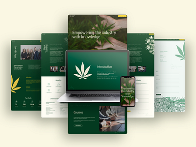 Cannabis Career brand design brand identity branding cannabis cannabis branding digital design education graphic design logo logo design ui visual design website design website redesign