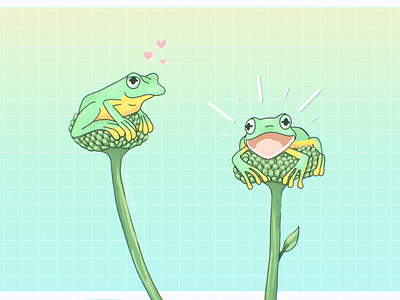 Frogs Illustration