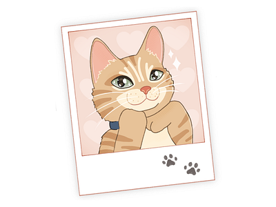Cat Day cat cute design illustration procreate
