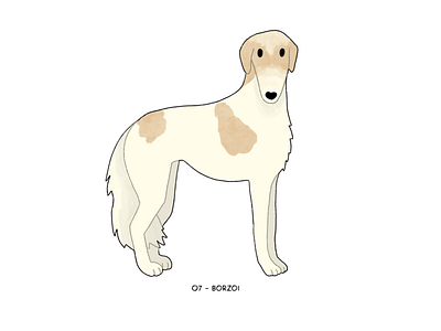 Borzoi art challenge cute design digital art dog doggo doggust graphic illustration procreate