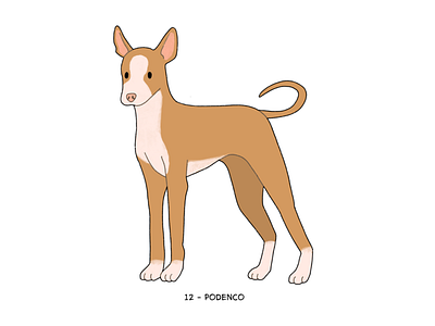 Podenco animal art challenge cute design digital art dog doggo doggust graphic illustration pet procreate
