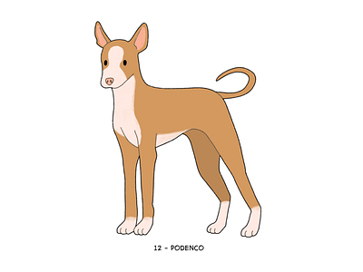 Podenco