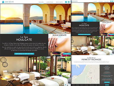 French spa Website blue flat french spa thalasso website white