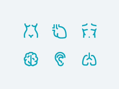 Anatomy icons anatomy body female health care human icons male medical organs parts vector