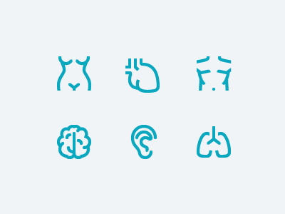 Anatomy icons