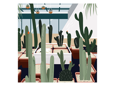 Cactus Plants design digitalillustration illustration image