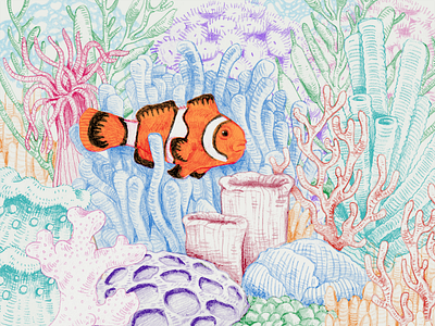 It's Giving Fish, Clown Fish colored pencil design hand drawn illustration texture