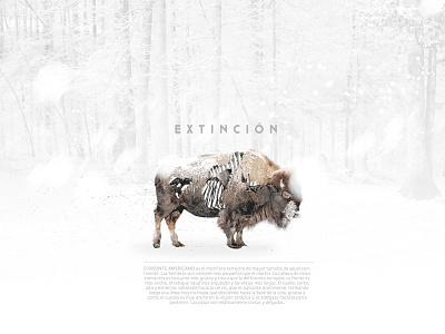 Extinción 1310 animal bison extinction jesus gerardo garcia arballo mexico trecediez