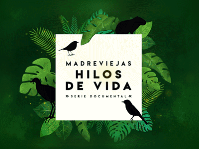 HILOSDEVIDA animation logo vector