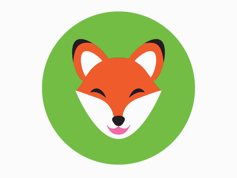 Fox animation 2d animation illustration