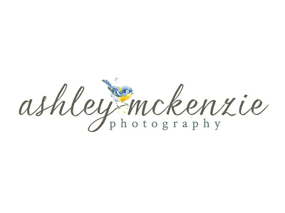 Ashley McKenzie Photography ashley mckenzie photography bird logo fort collins wedding photography photographer logo photography logo wedding photograhy logo