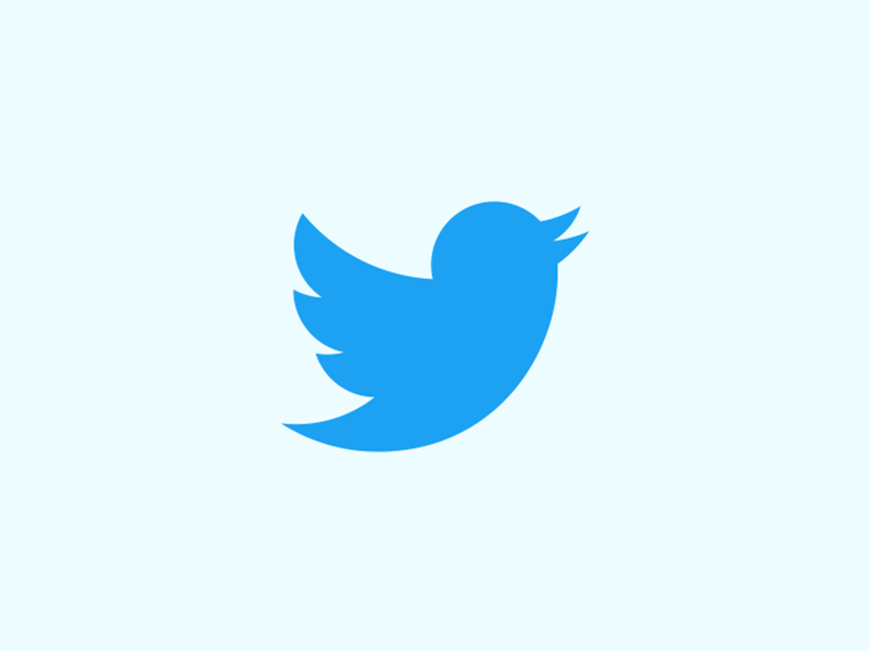 Twitter Logo Animation affter effects animation brands design effects illustrator logo twitter