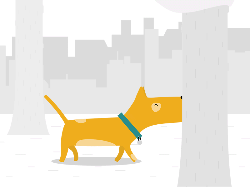 Proud Dog aftereffects animation city design fansy flat fun grey illustration orange proud street vector