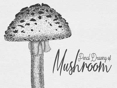 Stippling Art of Mushroom Using iPad (Procreate) creative digital drawing digital sketch graphic design illustration mushroom pencil art pencil drawing pencil sketch procreate procreate drawing vector