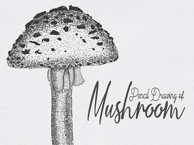 Stippling Art of Mushroom Using iPad (Procreate)