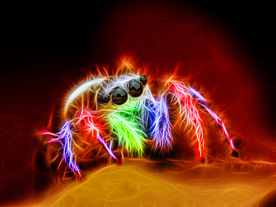 Abstract Spider Neon Glow Multicolor abstract art creative design graphic design illustration neon rainbow