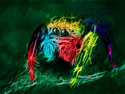 Abstract Spider Neon Glow