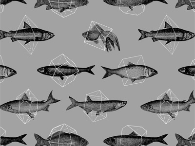 Fishes In Geometrics fishes geometrics in