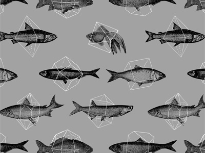 Fishes In Geometrics