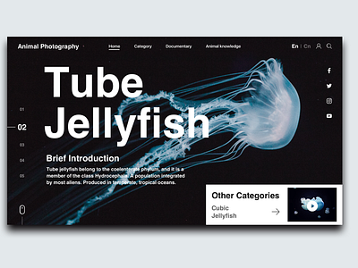 Tube Jellyfish animal black blue clean design flat natural ocean simple type typography ui ux web website