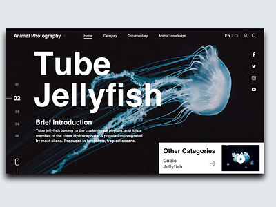 Tube Jellyfish
