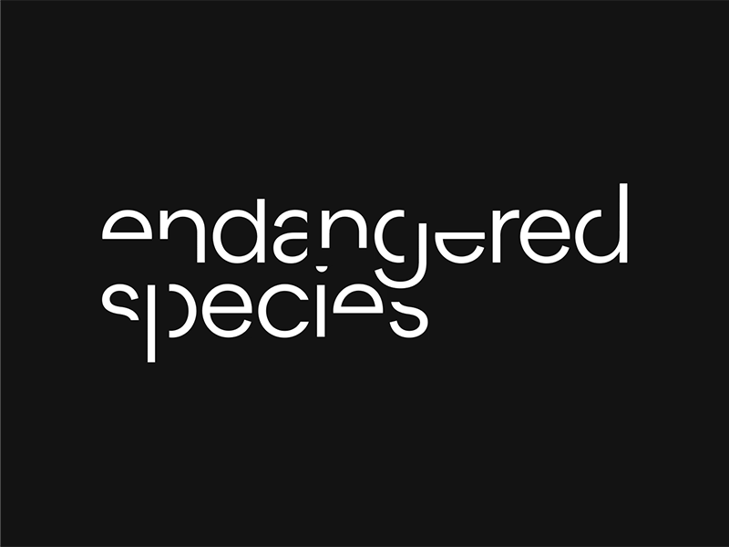 Endangered Species animation logo logo animation typography