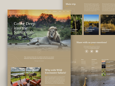 Wild Encounter Safari africa design journey lion safari trip ui ux web wild