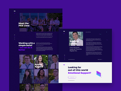 PRX | 02 branding visual identity website ui