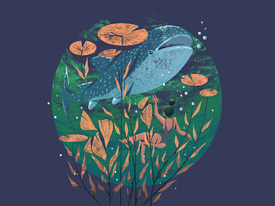 01 | Fish illustration