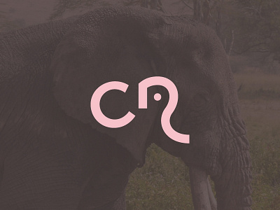 Elephant Ocre brand clothes elephant logo minimal simple store