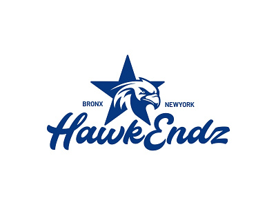hawkendz bird eagle falcon hawk hero logo star