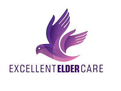 Excellent Elder Care bird care dove elder fly flying hand hold pigeon wing