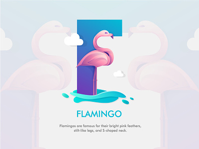 F - flamingo illustration lettering typography vector