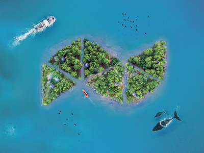 Natife Island design illustration island native nature
