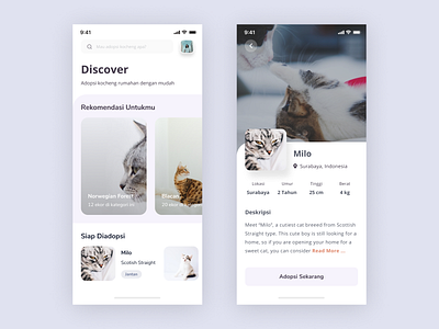 Kocheng Adoption App - Exploration Design adoption android app cat clean mobile application mobile apps