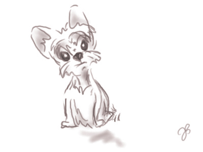 Little Louie animal character dog puppy sketch wacom yorkie