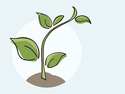 vector seedling greenery illustrator plant seedling vector wacom