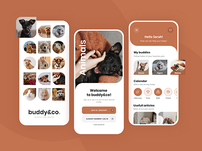 Pets Care App - buddy&co animal app animals application care cat design dog mobile mobile app pet app pets ui