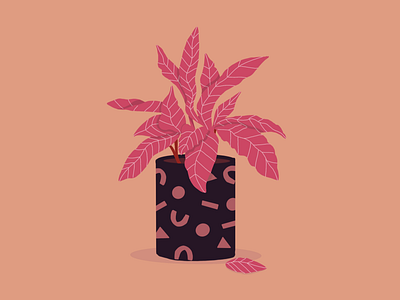 Pink Plant colour design illustration minimal monochrome pink plant procreate red violet work