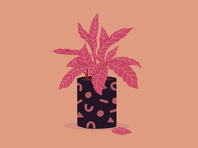 Pink Plant