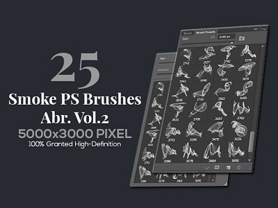 25 Smoke Ps Brushes Abr. Vol.2