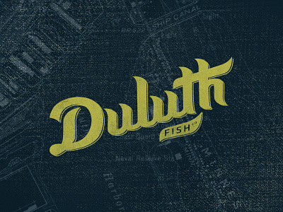 Duluth Fish Company - Identity branding identity logo typography